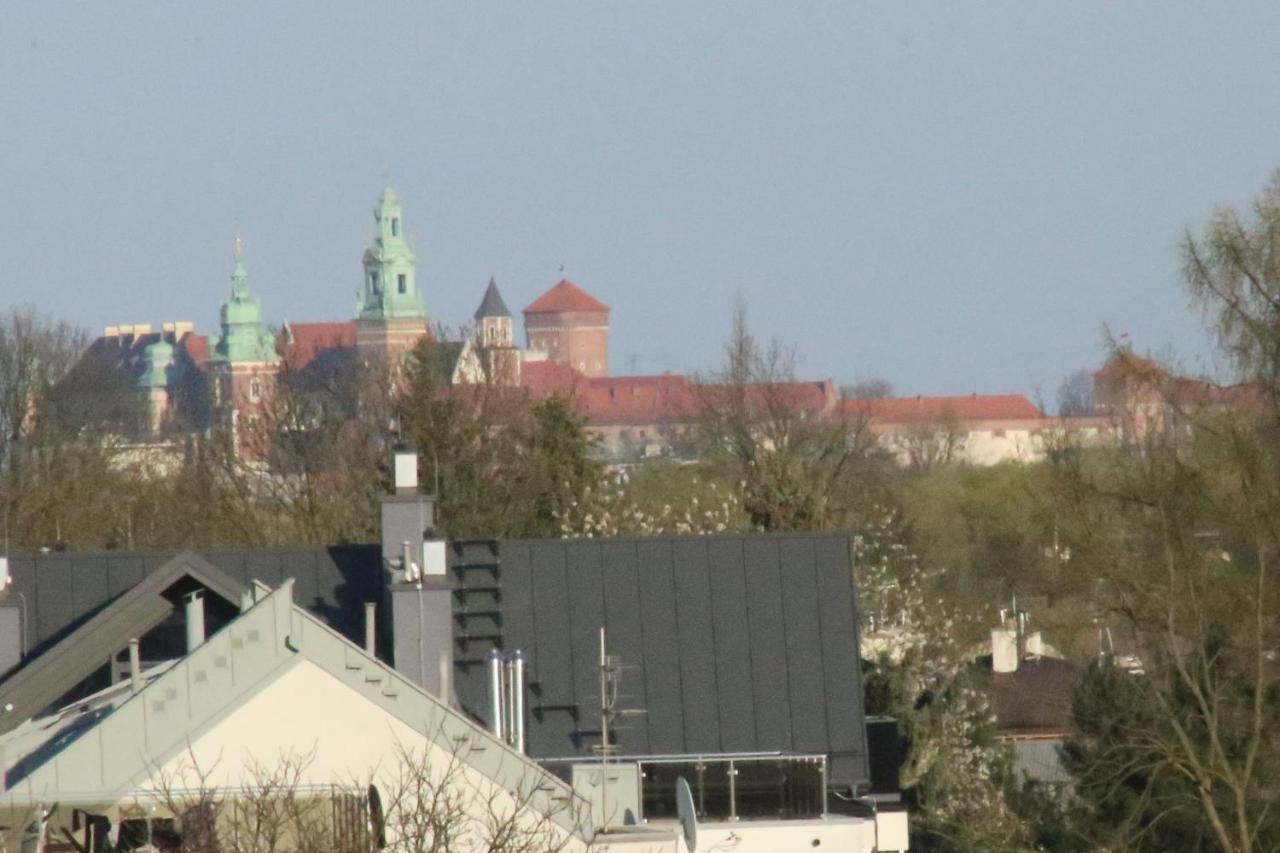 Daisy Budget Krakow